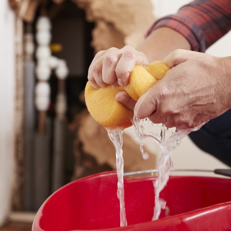 culhane maintenance services soft wash property